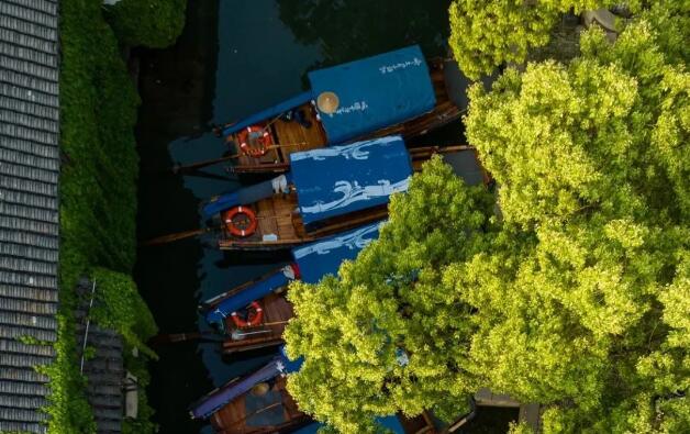 美文(wén)分(fēn)享 | 盛(sheng)永明《隻此周莊》